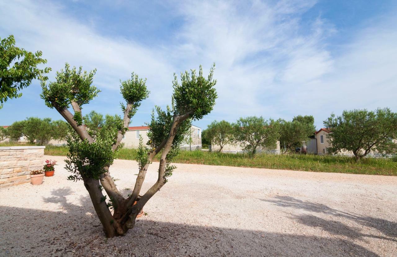 Hotel Camp San Antonio Biograd Na Moru Exteriér fotografie